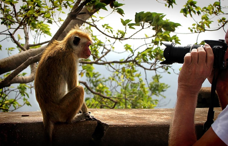 Paparazzi Shot